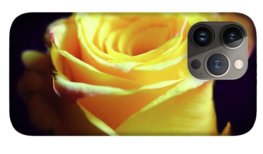 Yellow Rose Soft Light - Phone Case