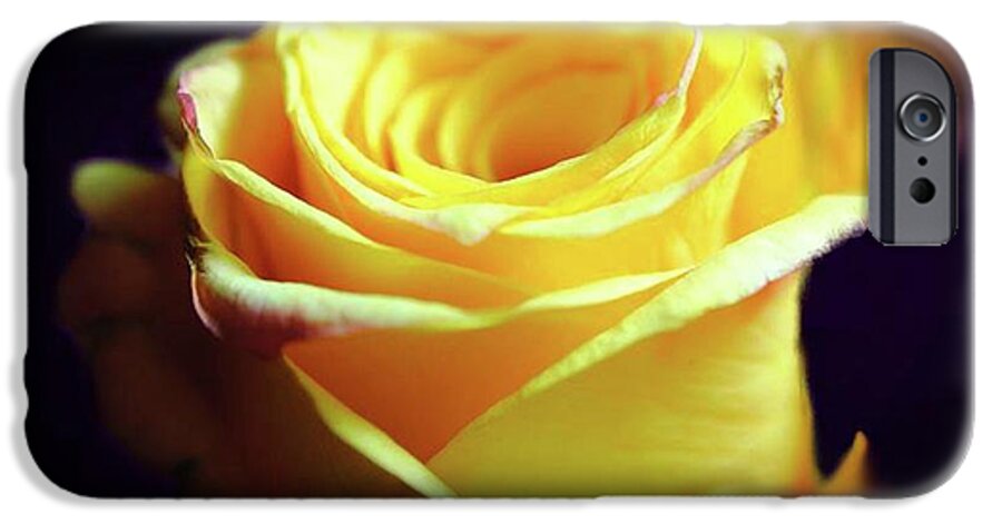 Yellow Rose Soft Light - Phone Case