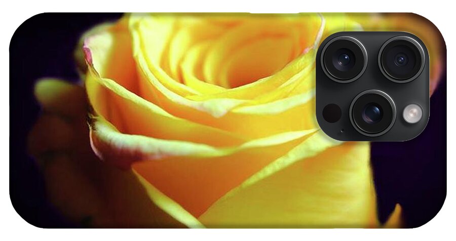 Yellow Rose Soft Light - Phone Case