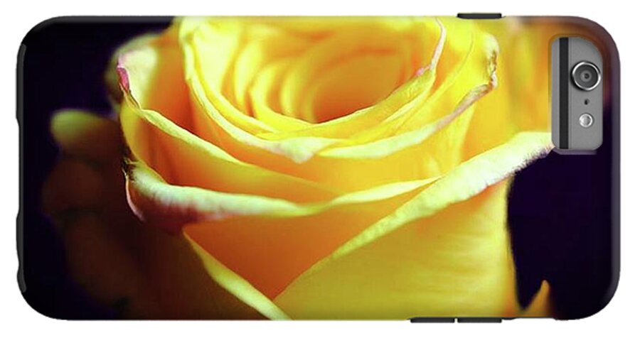 Yellow Rose Soft Light - Phone Case
