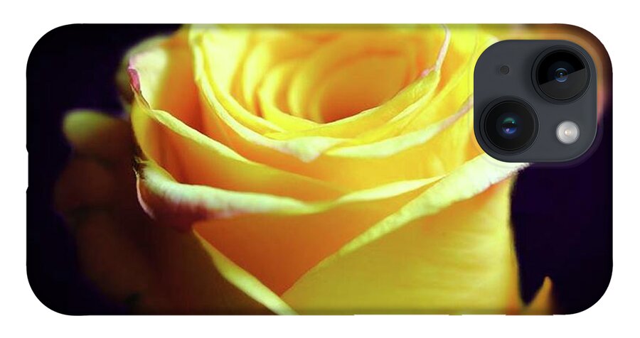 Yellow Rose Soft Light - Phone Case
