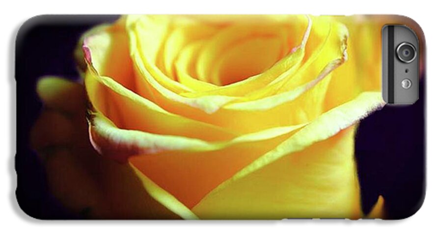 Yellow Rose Soft Light - Phone Case
