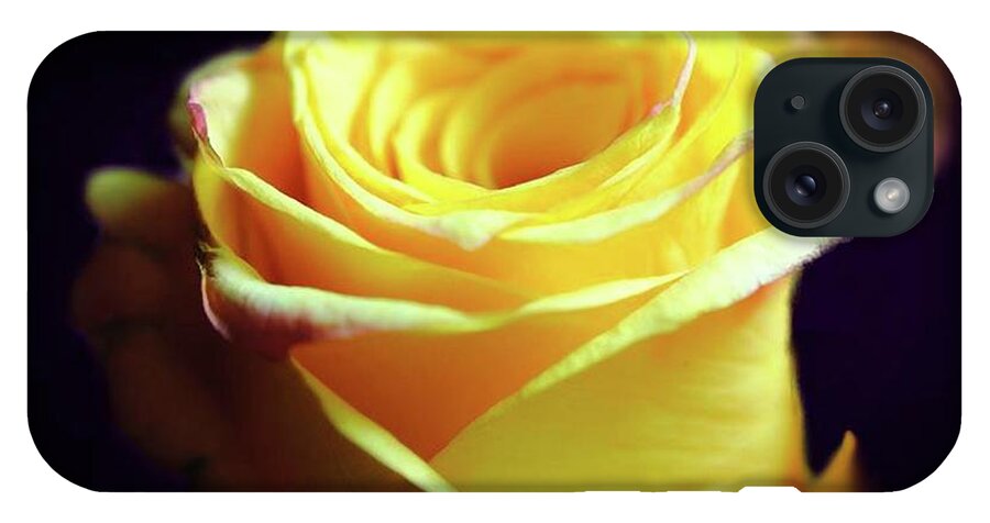 Yellow Rose Soft Light - Phone Case