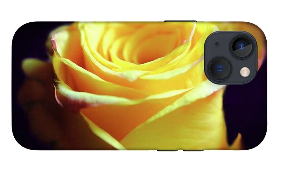Yellow Rose Soft Light - Phone Case