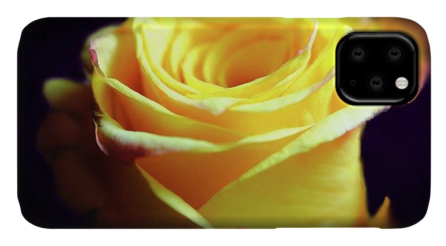 Yellow Rose Soft Light - Phone Case