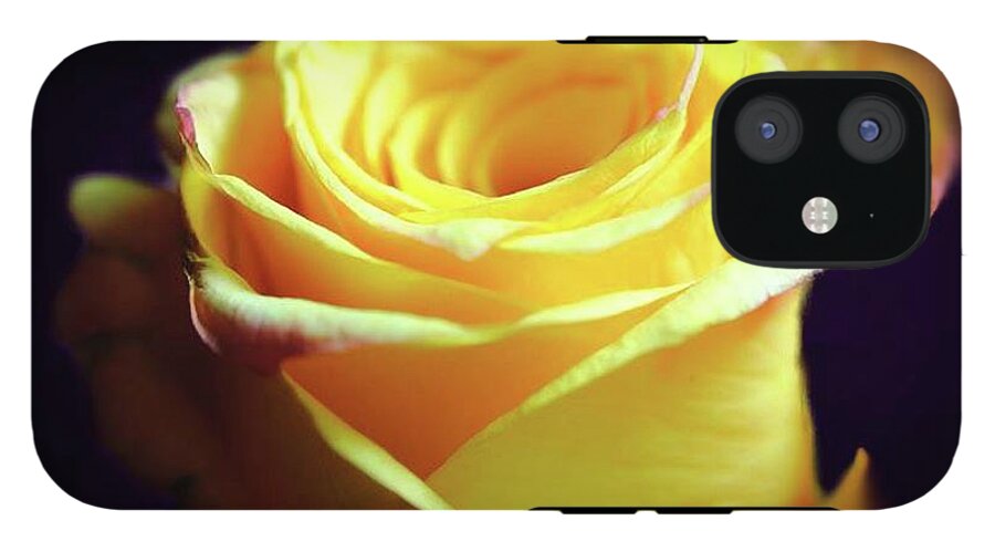 Yellow Rose Soft Light - Phone Case