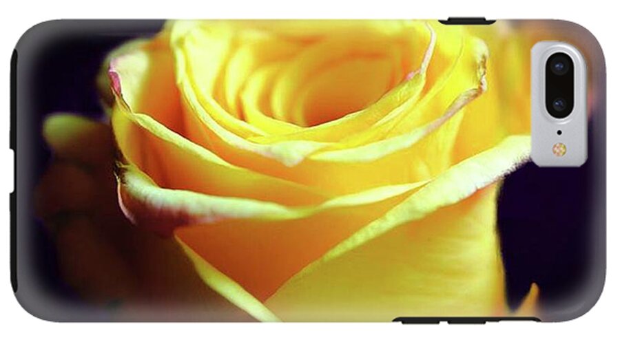 Yellow Rose Soft Light - Phone Case