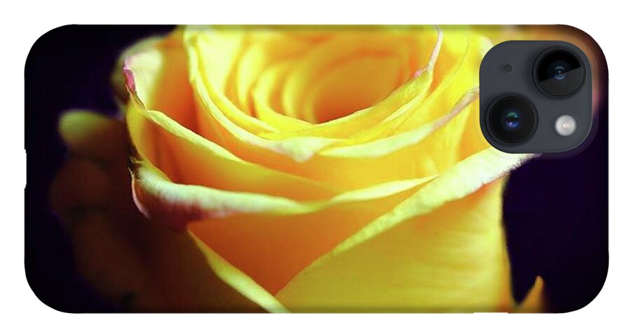 Yellow Rose Soft Light - Phone Case