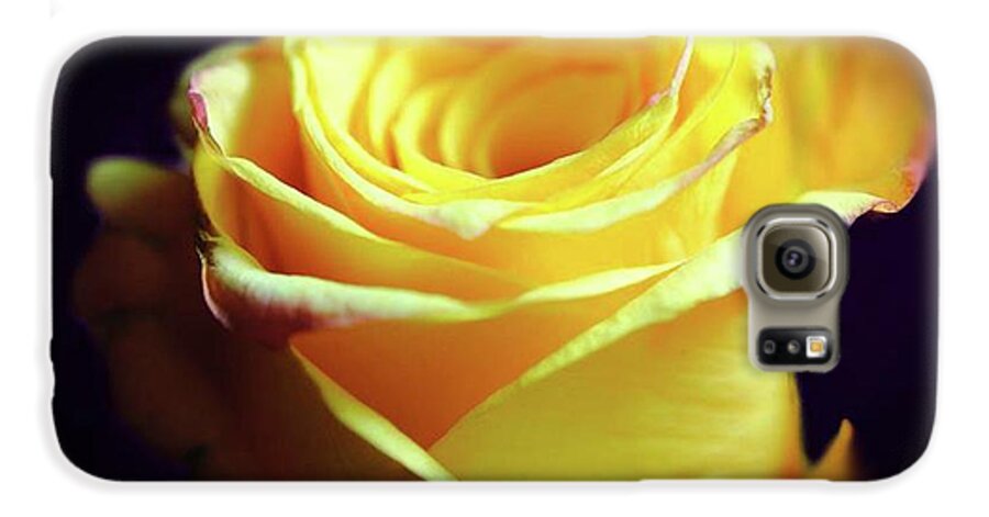 Yellow Rose Soft Light - Phone Case