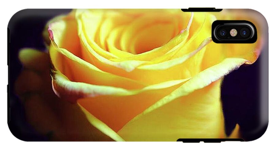 Yellow Rose Soft Light - Phone Case