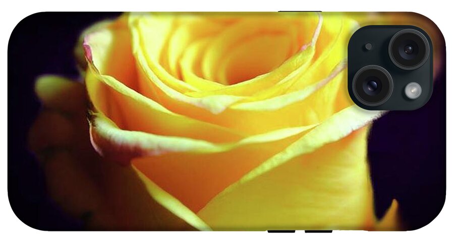 Yellow Rose Soft Light - Phone Case