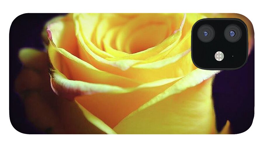 Yellow Rose Soft Light - Phone Case