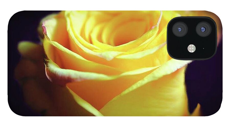 Yellow Rose Soft Light - Phone Case