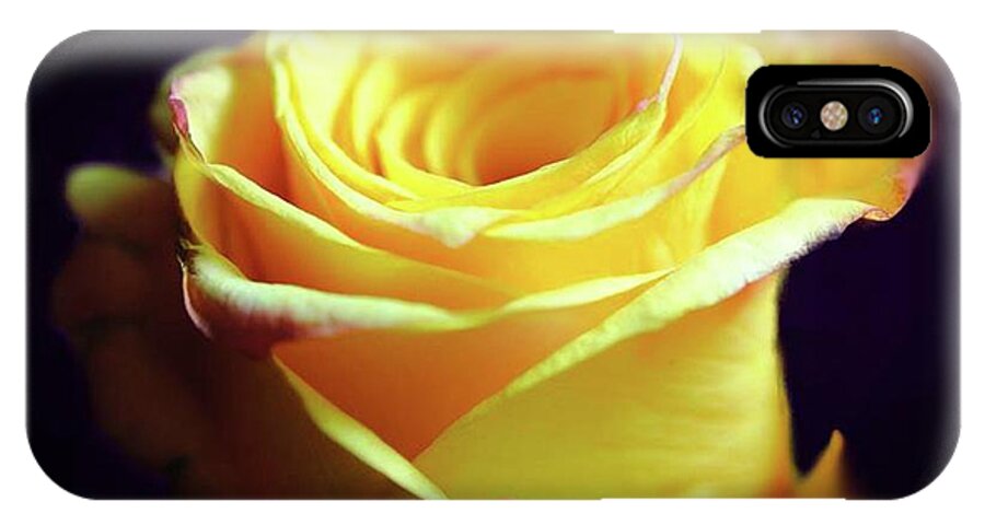 Yellow Rose Soft Light - Phone Case