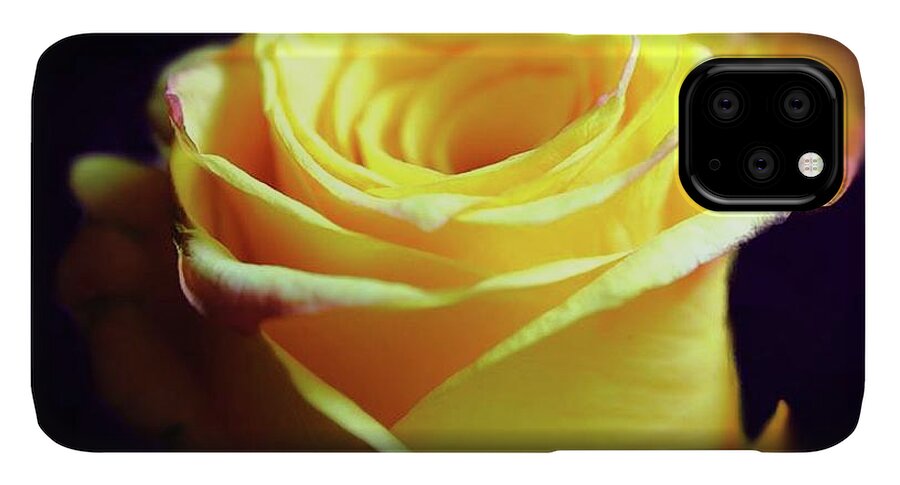 Yellow Rose Soft Light - Phone Case