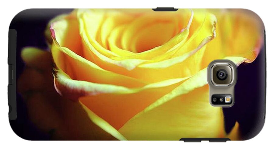 Yellow Rose Soft Light - Phone Case