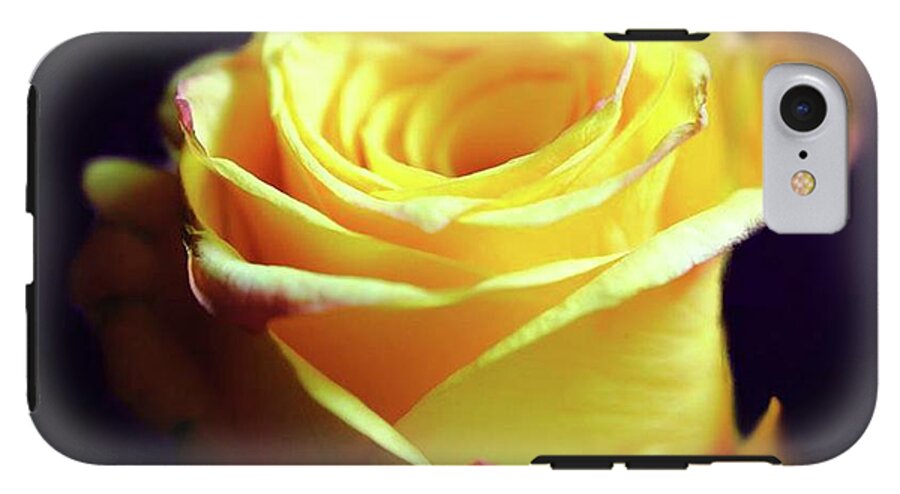 Yellow Rose Soft Light - Phone Case