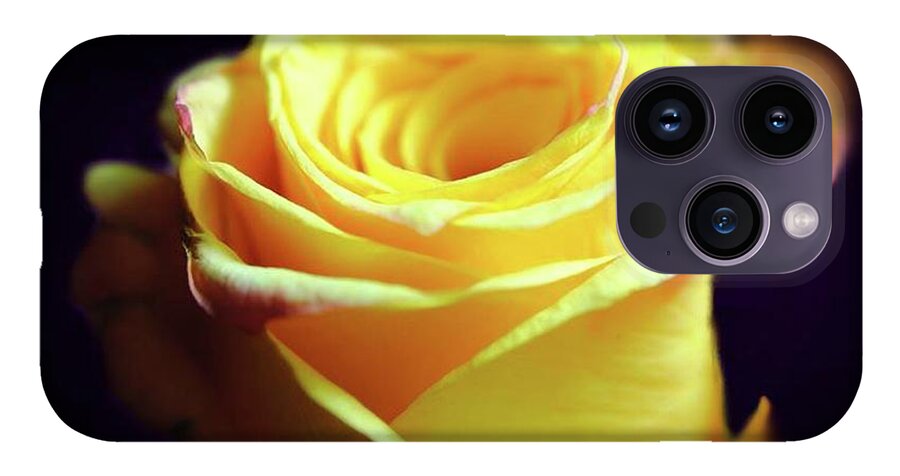 Yellow Rose Soft Light - Phone Case