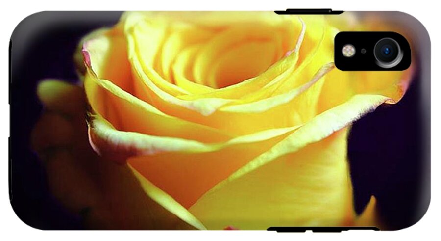 Yellow Rose Soft Light - Phone Case
