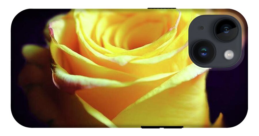 Yellow Rose Soft Light - Phone Case