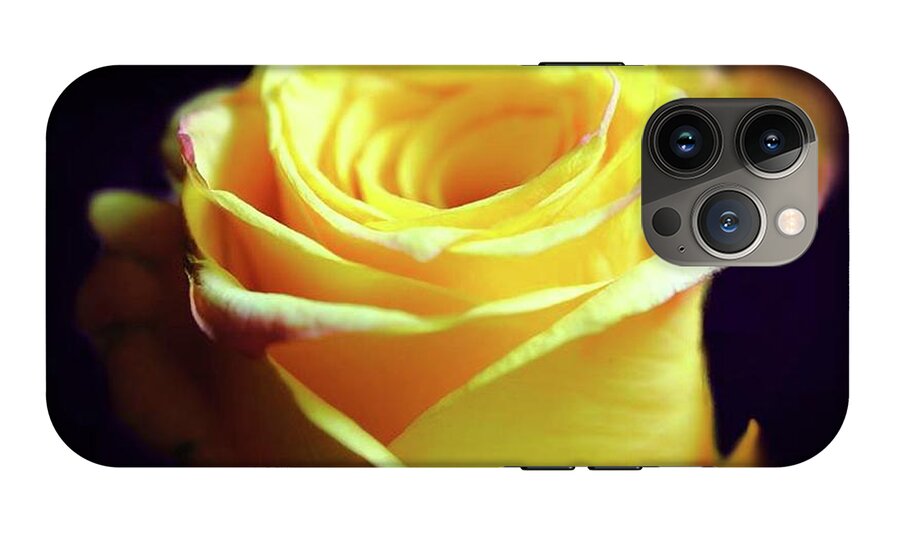 Yellow Rose Soft Light - Phone Case