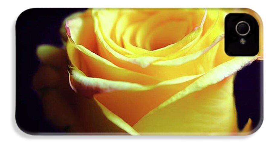 Yellow Rose Soft Light - Phone Case