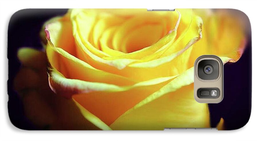 Yellow Rose Soft Light - Phone Case