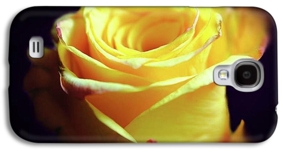 Yellow Rose Soft Light - Phone Case