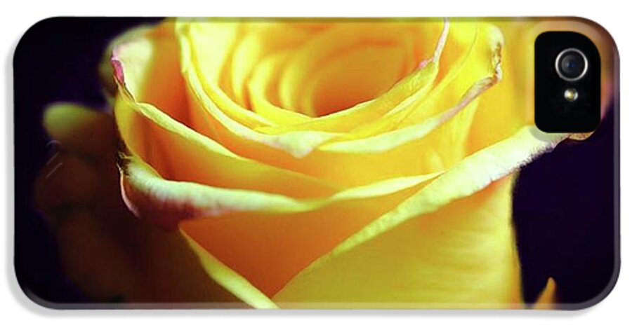 Yellow Rose Soft Light - Phone Case