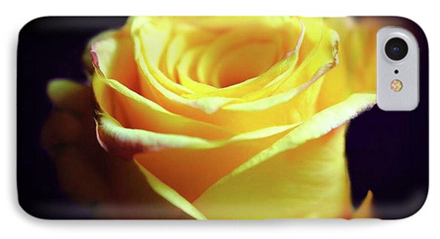 Yellow Rose Soft Light - Phone Case