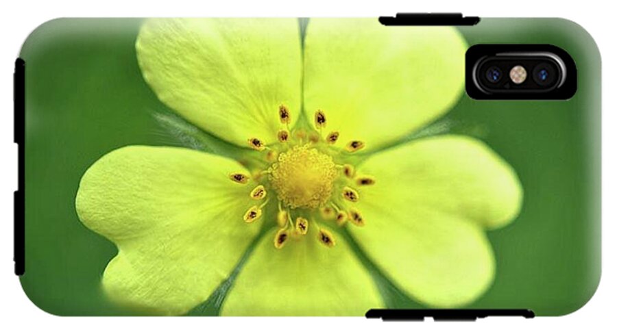 Yellow Wildflower - Phone Case