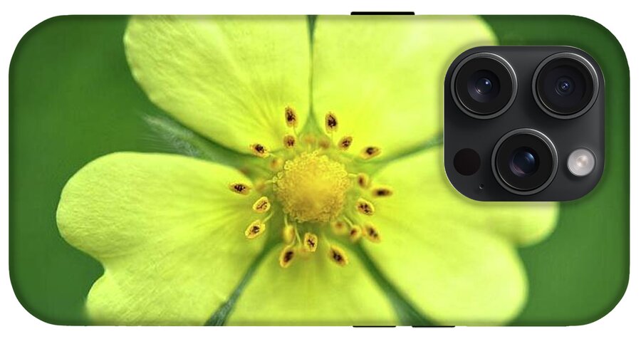 Yellow Wildflower - Phone Case