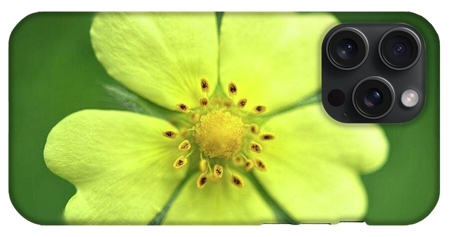 Yellow Wildflower - Phone Case