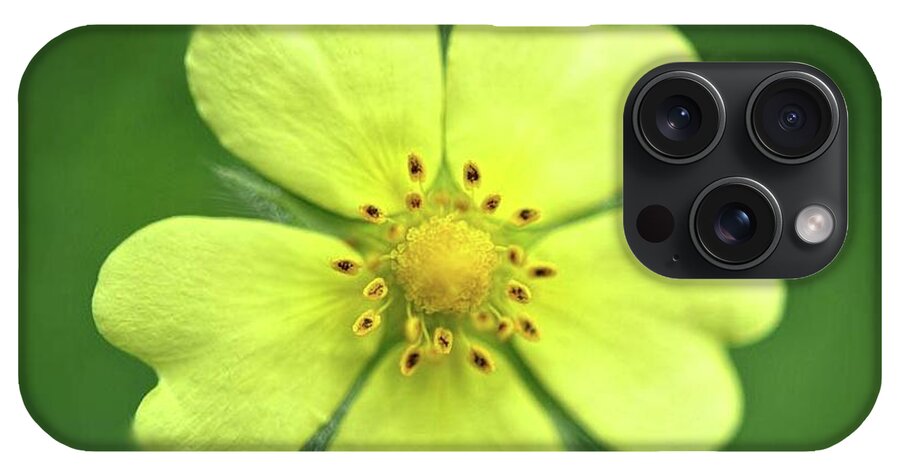 Yellow Wildflower - Phone Case