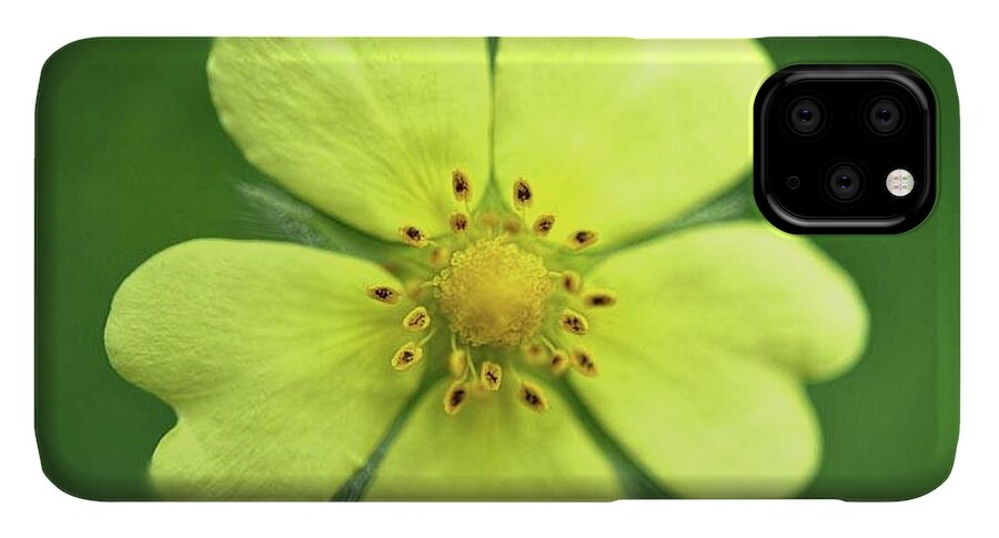 Yellow Wildflower - Phone Case