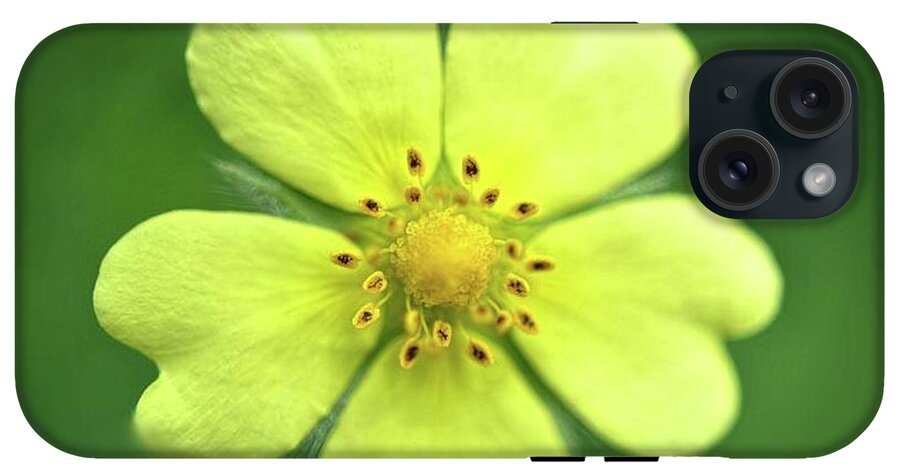 Yellow Wildflower - Phone Case