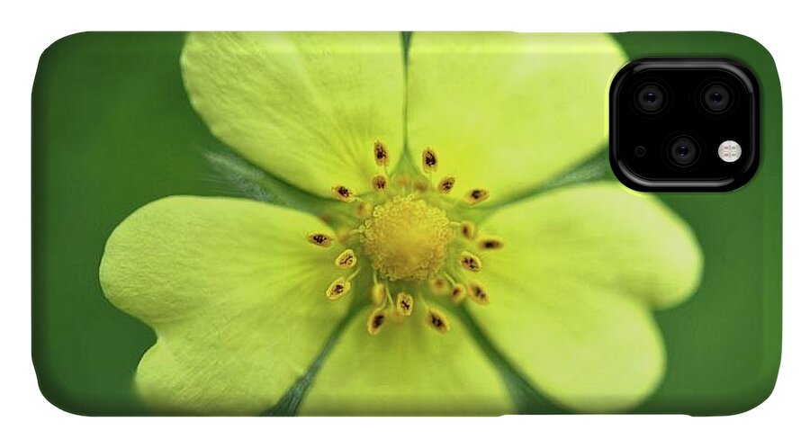 Yellow Wildflower - Phone Case