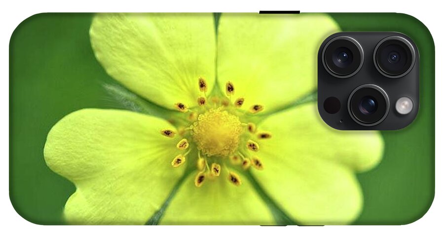 Yellow Wildflower - Phone Case