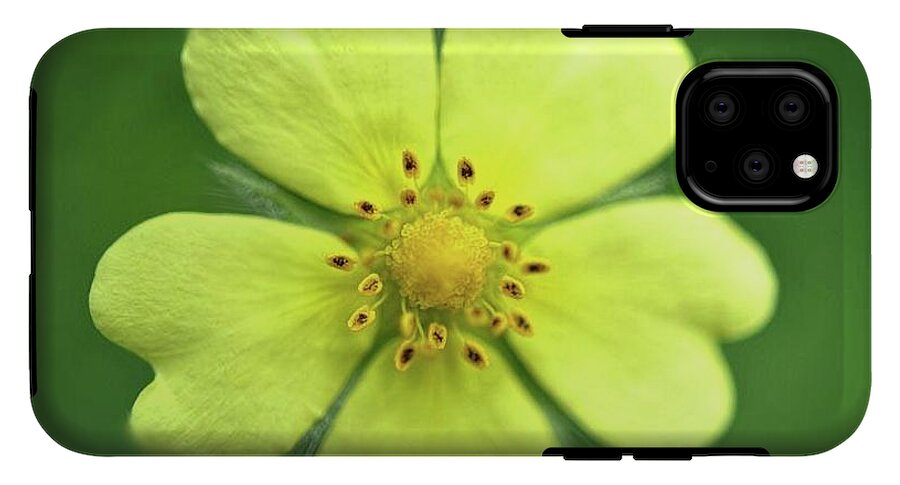 Yellow Wildflower - Phone Case