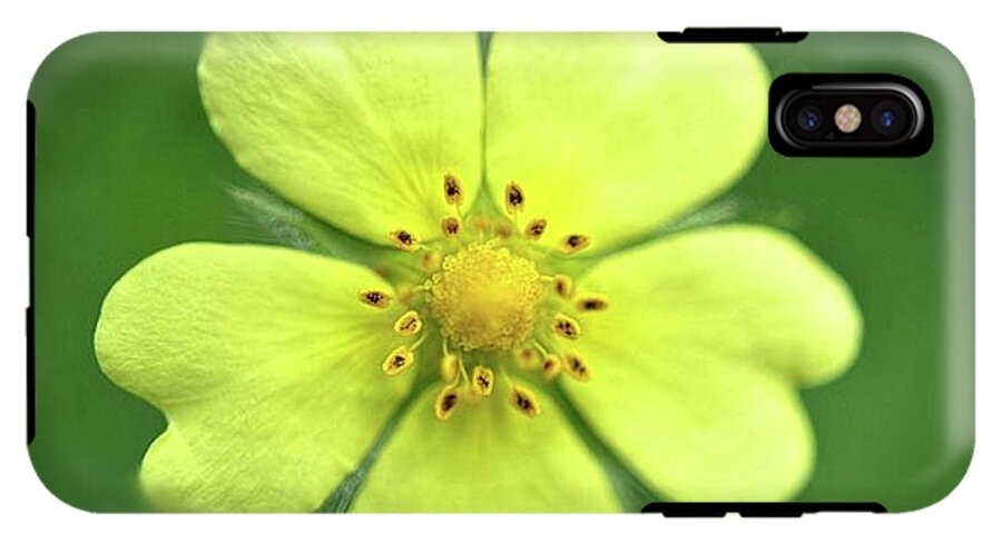 Yellow Wildflower - Phone Case