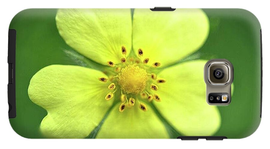 Yellow Wildflower - Phone Case