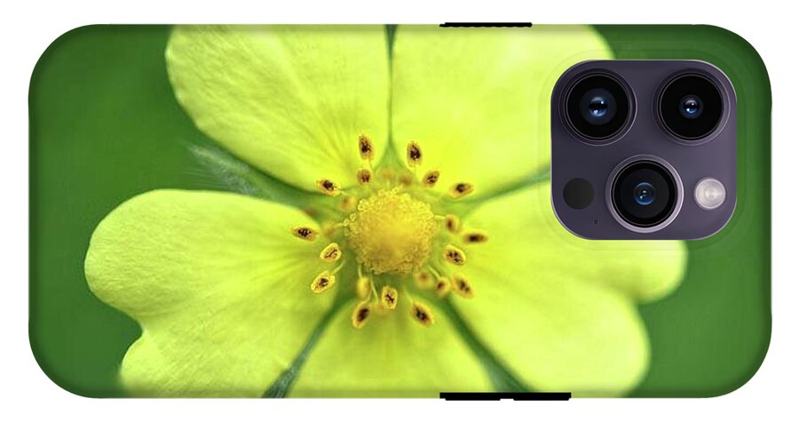 Yellow Wildflower - Phone Case