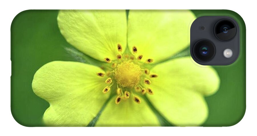 Yellow Wildflower - Phone Case