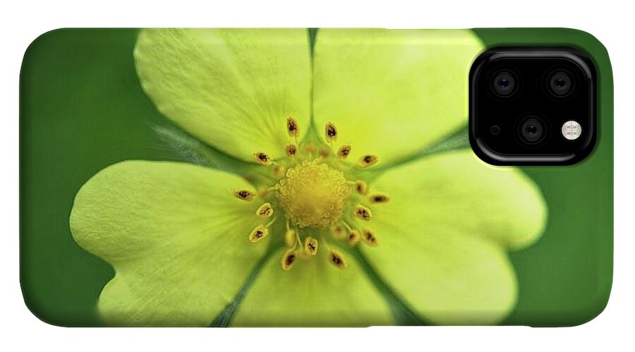 Yellow Wildflower - Phone Case
