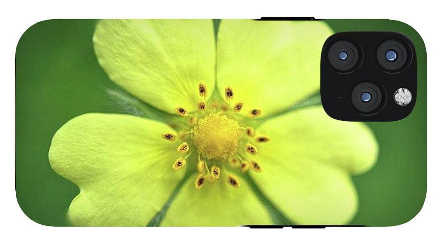 Yellow Wildflower - Phone Case
