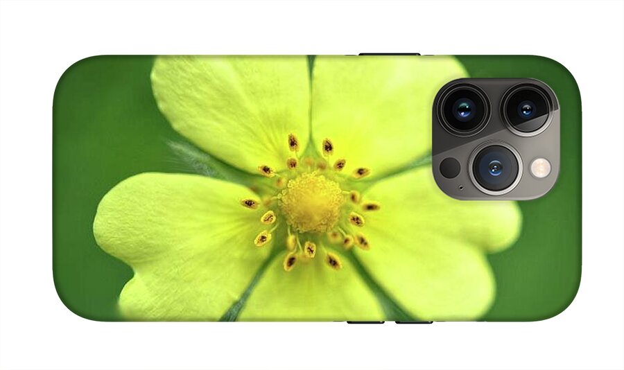 Yellow Wildflower - Phone Case