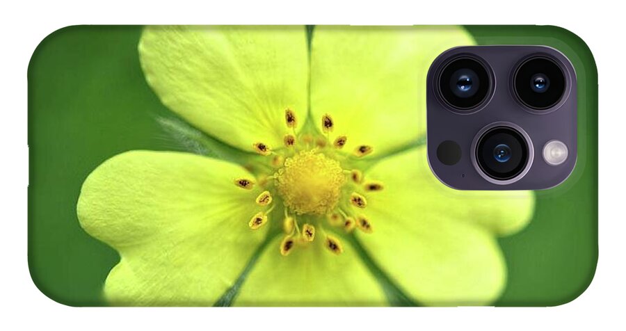 Yellow Wildflower - Phone Case