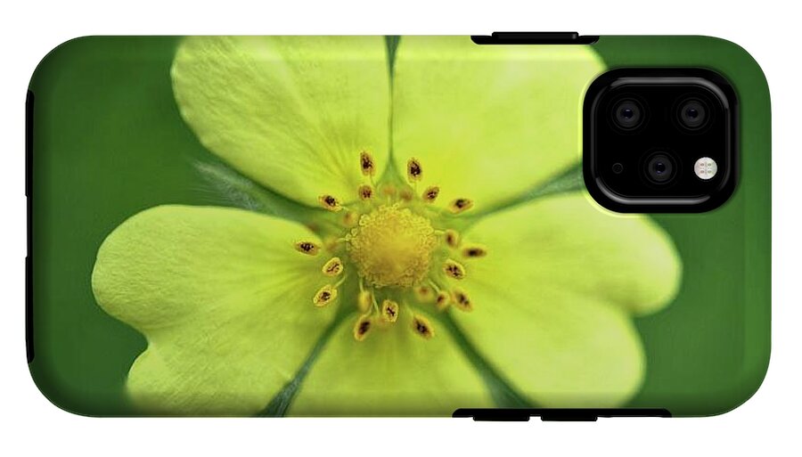 Yellow Wildflower - Phone Case