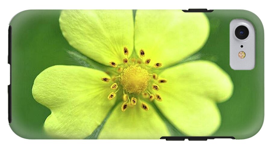 Yellow Wildflower - Phone Case