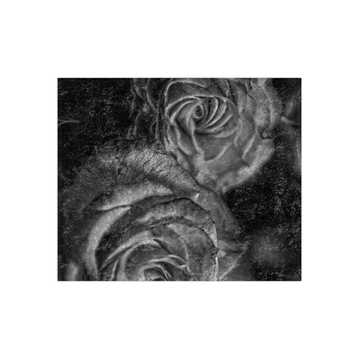 Black and White Tea Roses Crushed Velvet Blanket
